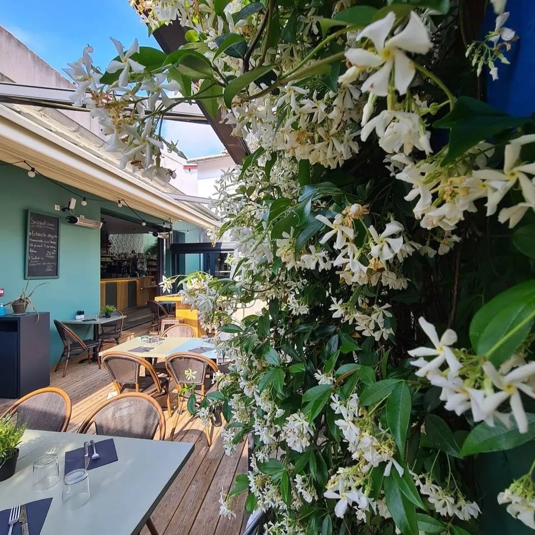 patio-ho-tempo-restaurant (1)